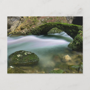 Bridge over troubled water postcard