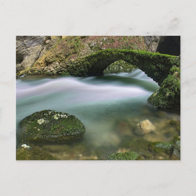 Bridge over troubled water postcard (Front)