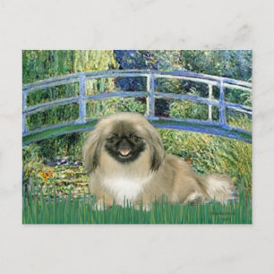 Bridge - Pekingese 1b Postcard