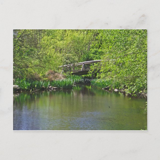 bridge postcard (Front)