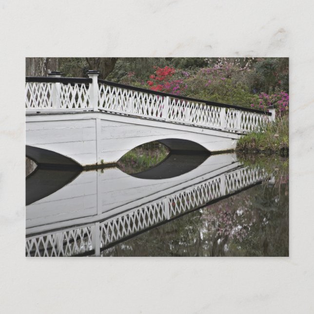Bridge reflecting on pond, Magnolia Postcard (Front)