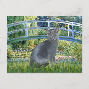 Bridge - Russian Blue cat 2 Postcard