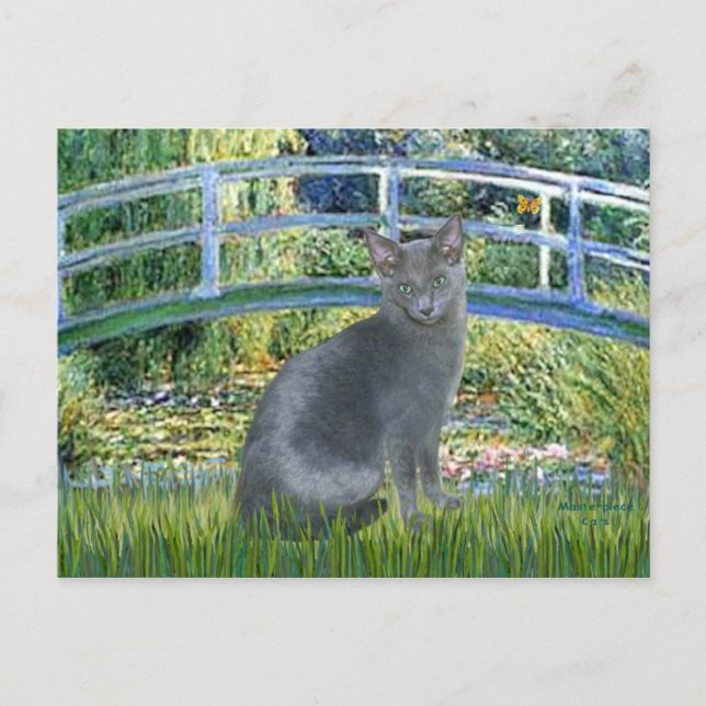 Bridge - Russian Blue cat 2 Postcard (Front)