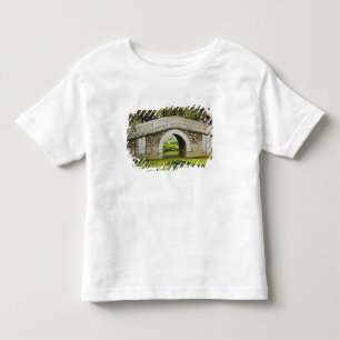Bridge, Summer Palace, Beijing, China Toddler T-Shirt