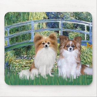 Bridge - Two Papillons Mouse Mat