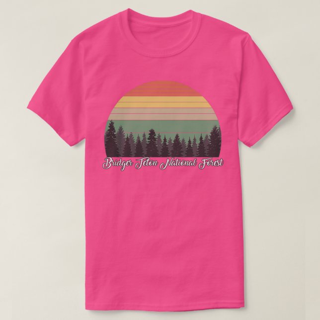 Bridger Teton National Forest 1 T-Shirt (Design Front)
