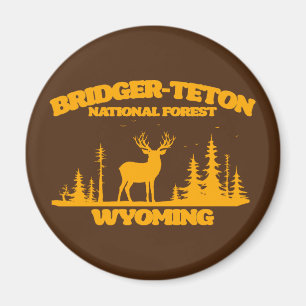Bridger-Teton National Forest Magnet