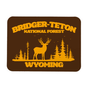 Bridger-Teton National Forest Magnet