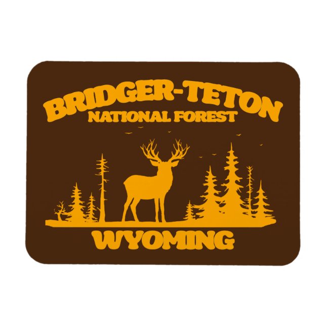 Bridger-Teton National Forest Magnet (Horizontal)