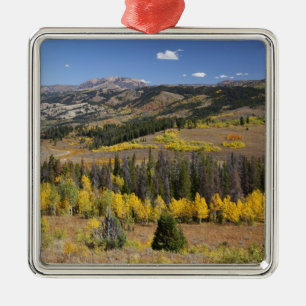 Bridger-Teton National Forest Metal Tree Decoration