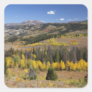 Bridger-Teton National Forest Square Sticker