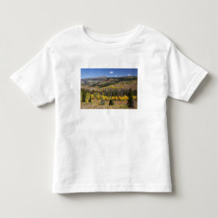 Bridger-Teton National Forest Toddler T-Shirt