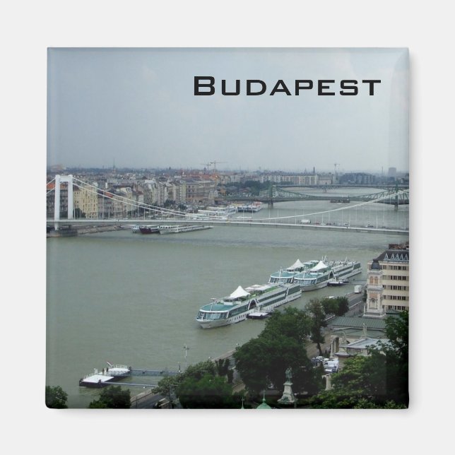 Bridges of the Danube Magnet (Front)