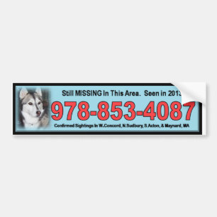 Bridgett bumper sticker blue