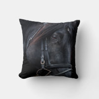 Bridled Black Stallion Face