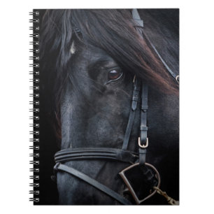 Bridled Black Stallion Face Notebook