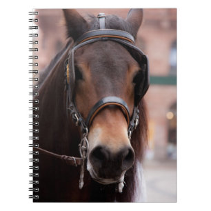 Bridled horse notebook