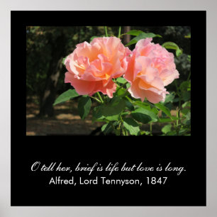 Brief is life but love is long (Alfred Tennyson) Poster