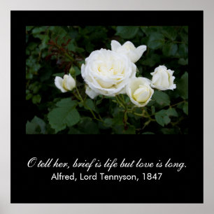 Brief is life but love is long (Tennyson quote) Poster
