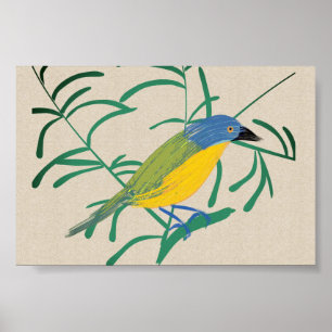 Bright African  Bird Bush Shrike on Linen Canvas Poster