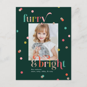 Bright and Furry Holiday Photo Card Postcard