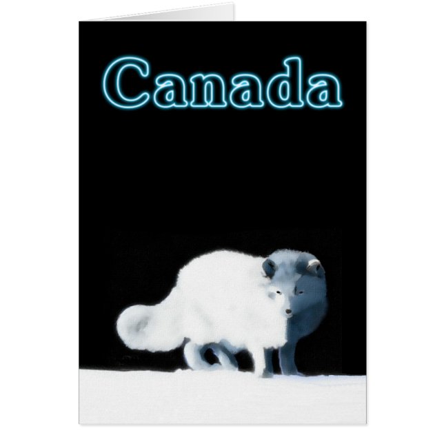 Bright Arctic Fox (Front)