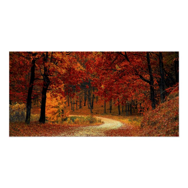Bright Autumnal Forest Poster (Front)
