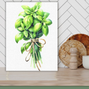 Bright Basil Watercolor Fresh Herb Art for Kitchen Canvas Print