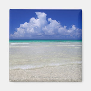 Bright beach magnet