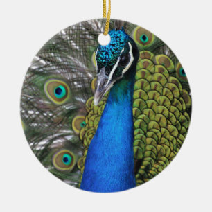 Bright Blue and Green Peacock w Feathers Opened Ceramic Tree Decoration