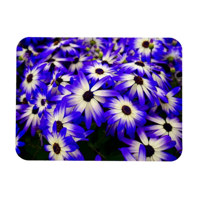 Bright Blue and White Digital Flowers Magnet (Horizontal)