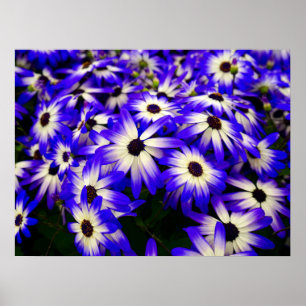 Bright Blue and White Digital Flowers Poster