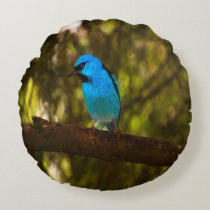 Bright Blue Bird Round Cushion