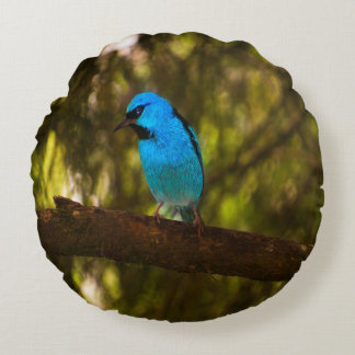 Bright Blue Bird Round Cushion