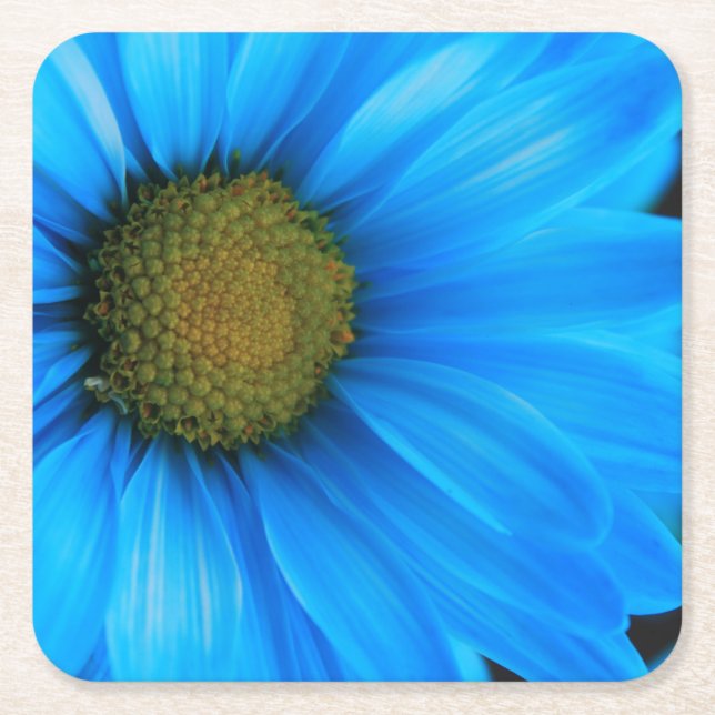 Bright Blue Daisy Square Paper Coaster (Front)