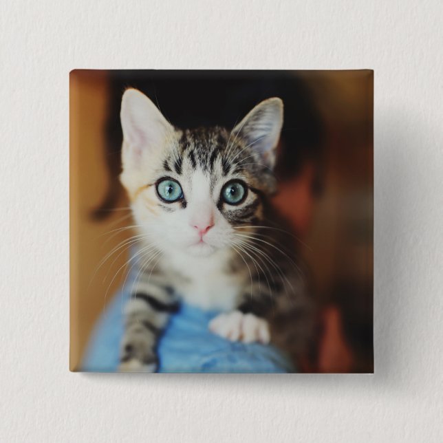 Bright Blue Eyed Kitten 15 Cm Square Badge (Front)