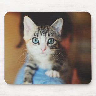 Bright Blue Eyed Kitten Mouse Mat