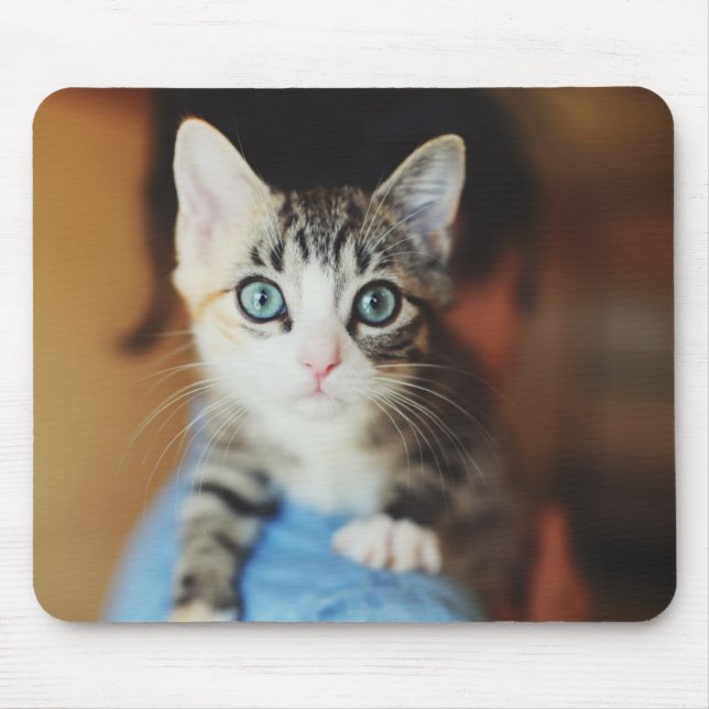 Bright Blue Eyed Kitten Mouse Mat (Front)