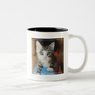 Bright Blue Eyed Kitten Two-Tone Coffee Mug