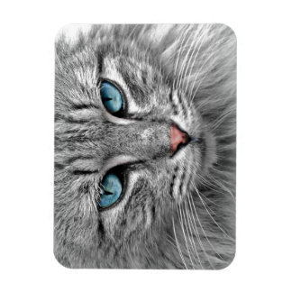 Bright Blue Eyes | Monochrome | Cat Portrait Magnet