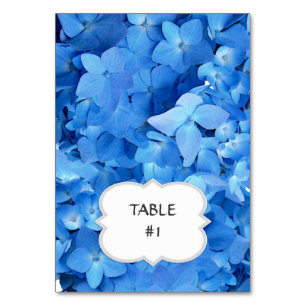 Bright Blue Hydrangea Table / Place Cards