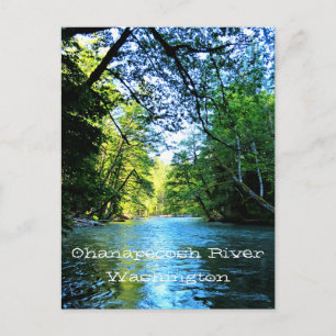 Bright Blue River Under Green Trees in Washington Postcard