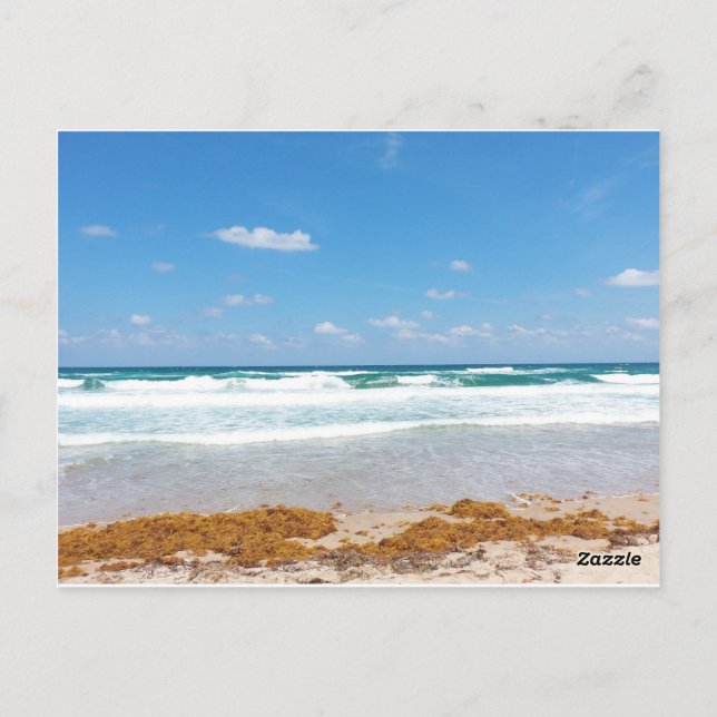 Bright Blue Sky Waves Washing Onto Shore Postcard (Back)
