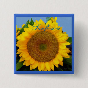 Bright Blue Sunflower 15 Cm Square Badge