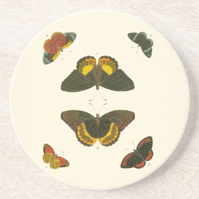Bright Butterflies by Pieter Cramer Coaster (Front)