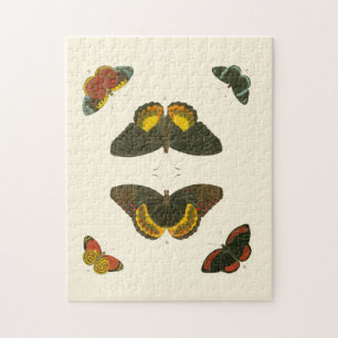 Bright Butterflies by Pieter Cramer Jigsaw Puzzle