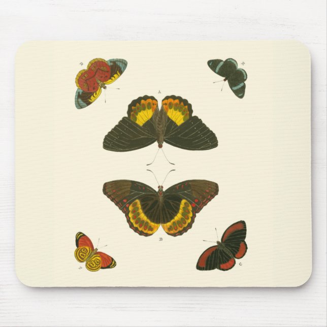Bright Butterflies by Pieter Cramer Mouse Mat (Front)