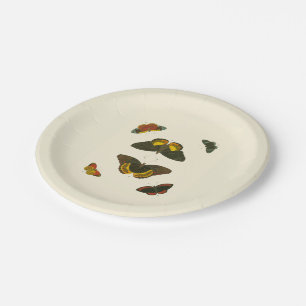 Bright Butterflies by Pieter Cramer Paper Plate