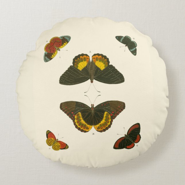 Bright Butterflies by Pieter Cramer Round Cushion (Front)