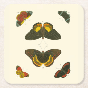 Bright Butterflies by Pieter Cramer Square Paper Coaster